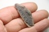 Nodule de fougère: NEUROPTERIS - carbonifère - Mazon creek - USA