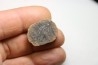 Nodule de fougère: ASTEROPHYLLITES LONGIFOLIUS - carbonifère - Mazon creek - USA
