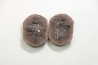 set of 5 concretions, Carboniferous from Mazon Creek - USA