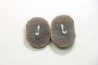 LOT de 5 Nodules du carbonifère de Mazon creek - USA