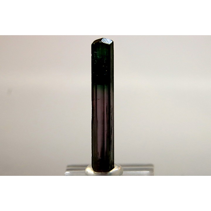 Tourmaline Elbaïte rose et verte - Minas Gerais, Brésil