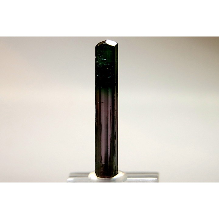 Tourmaline Elbaïte rose et verte - Minas Gerais, Brésil