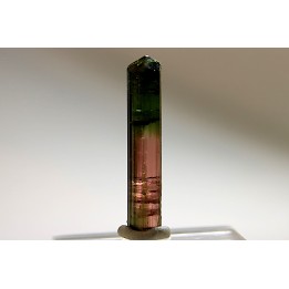 Tourmaline Elbaïte rose et verte - Minas Gerais, Brésil