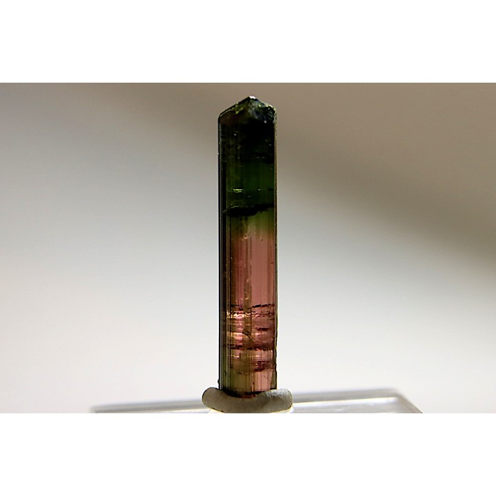 Tourmaline Elbaïte rose et verte - Minas Gerais, Brésil