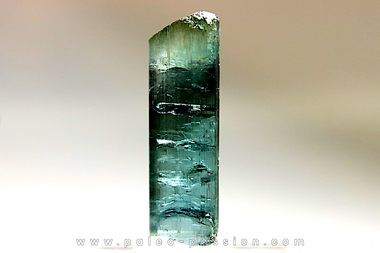 Tourmaline Elbaïte indicolite - Cruzeiro mine, Minas Gerais – Brésil