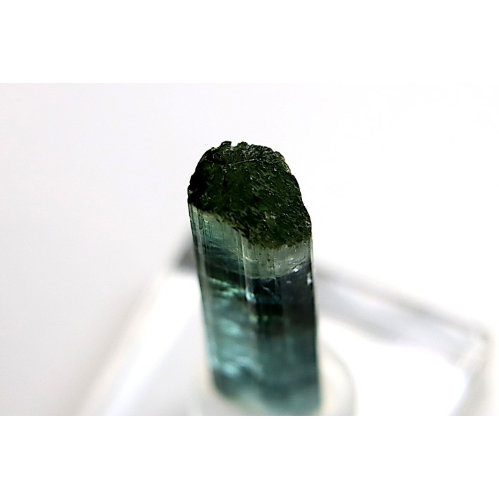Tourmaline Elbaïte indicolite - Cruzeiro mine, Minas Gerais,  Brasil