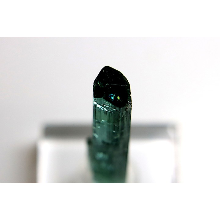 Tourmaline Elbaïte indicolite - Cruzeiro mine, Minas Gerais – Brésil