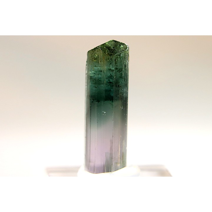 Tourmaline Elbaïte - green/pink - Cruzeiro mine, Minas Gerais,  Brasil