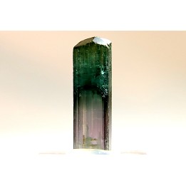 Tourmaline Elbaïte - green/pink - Cruzeiro mine, Minas Gerais,  Brasil