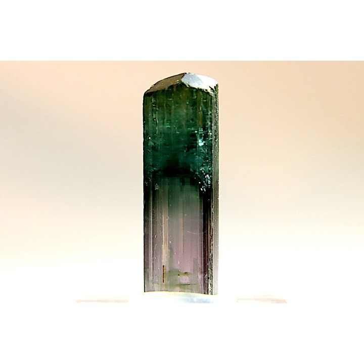 Tourmaline Elbaïte - green/pink - Cruzeiro mine, Minas Gerais,  Brasil