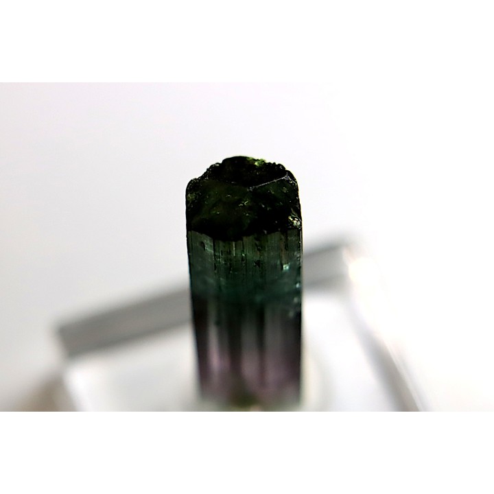 Tourmaline Elbaïte rose et verte - Cruzeiro mine, Minas Gerais – Brésil
