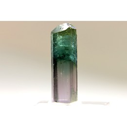 Tourmaline Elbaïte - green/pink - Cruzeiro mine, Minas Gerais,  Brasil