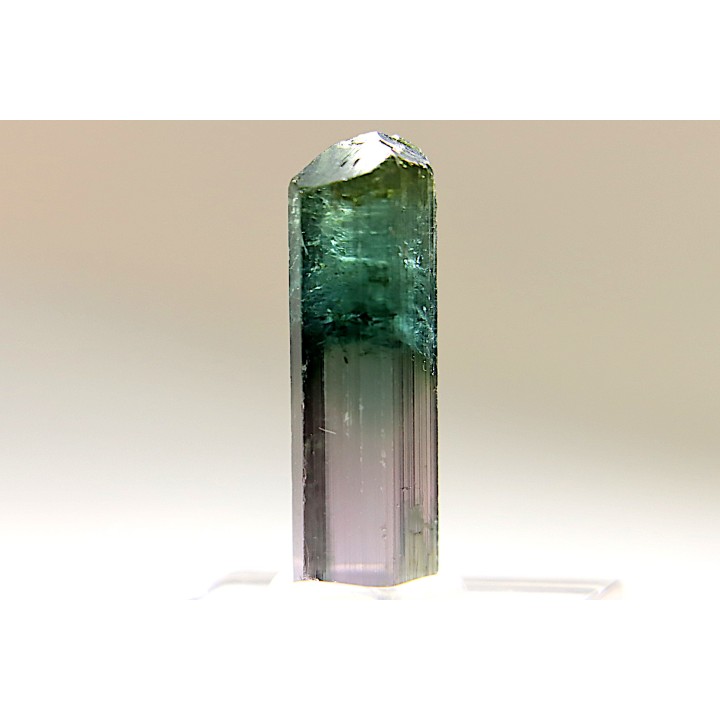 Tourmaline Elbaïte rose et verte - Cruzeiro mine, Minas Gerais – Brésil
