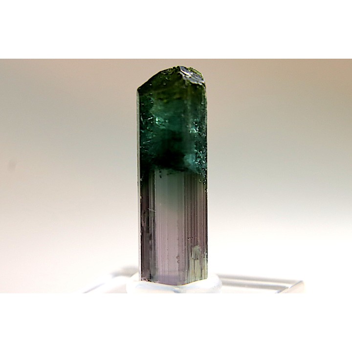 Tourmaline Elbaïte rose et verte - Cruzeiro mine, Minas Gerais – Brésil