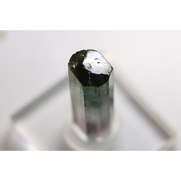 Tourmaline Elbaïte - green/pink - Cruzeiro mine, Minas Gerais,  Brasil