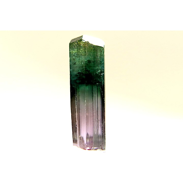 Tourmaline Elbaïte rose et verte - Lavra de Sapo, Ferruginha, Minas Gerais – Brésil