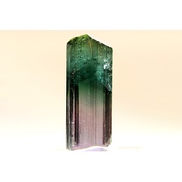 Tourmaline Elbaïte rose et verte - Lavra de Sapo, Ferruginha, Minas Gerais – Brésil