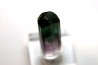 Tourmaline Elbaïte - green/pink - Lavra de Sapo, Ferruginha, Minas Gerais,  Brasil