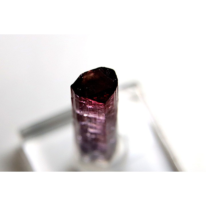 Tourmaline Elbaïte rubellite - Itinga, Minas Gerais – Brésil