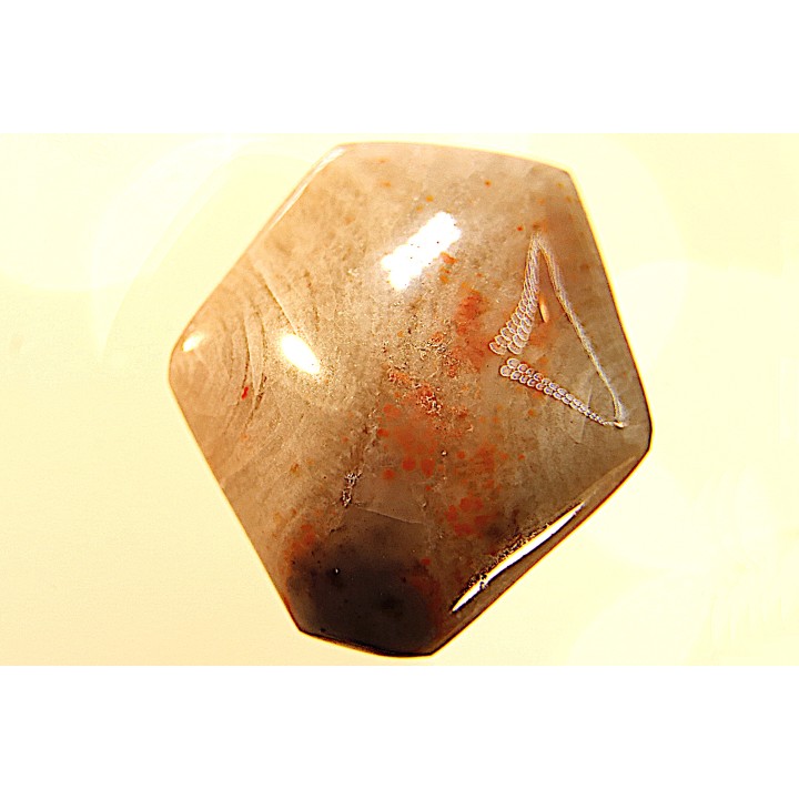 EXCEPTIONNEL CONSERVATION EN AGATE - Composita subtilita - Pennsylvanien - Sandoval County, NM - USA