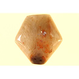 EXCEPTIONNEL CONSERVATION EN AGATE - Composita subtilita - Pennsylvanien - Sandoval County, NM - USA