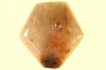 EXCEPTIONNEL CONSERVATION EN AGATE - Composita subtilita - Pennsylvanien - Sandoval County, NM - USA