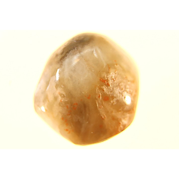 EXCEPTIONNEL CONSERVATION EN AGATE - Composita subtilita - Pennsylvanien - Sandoval County, NM - USA
