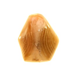 EXCEPTIONNEL CONSERVATION EN AGATE - Composita subtilita - Pennsylvanien - Sandoval County, NM - USA