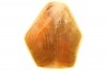 BRACHIOPODE POLISHED - AGATE - Composita subtilita - Pennsylvanian - Sandoval County, NM - USA