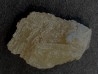 STOLZITE - mine de sainte Lucie, Lozere - FRANCE