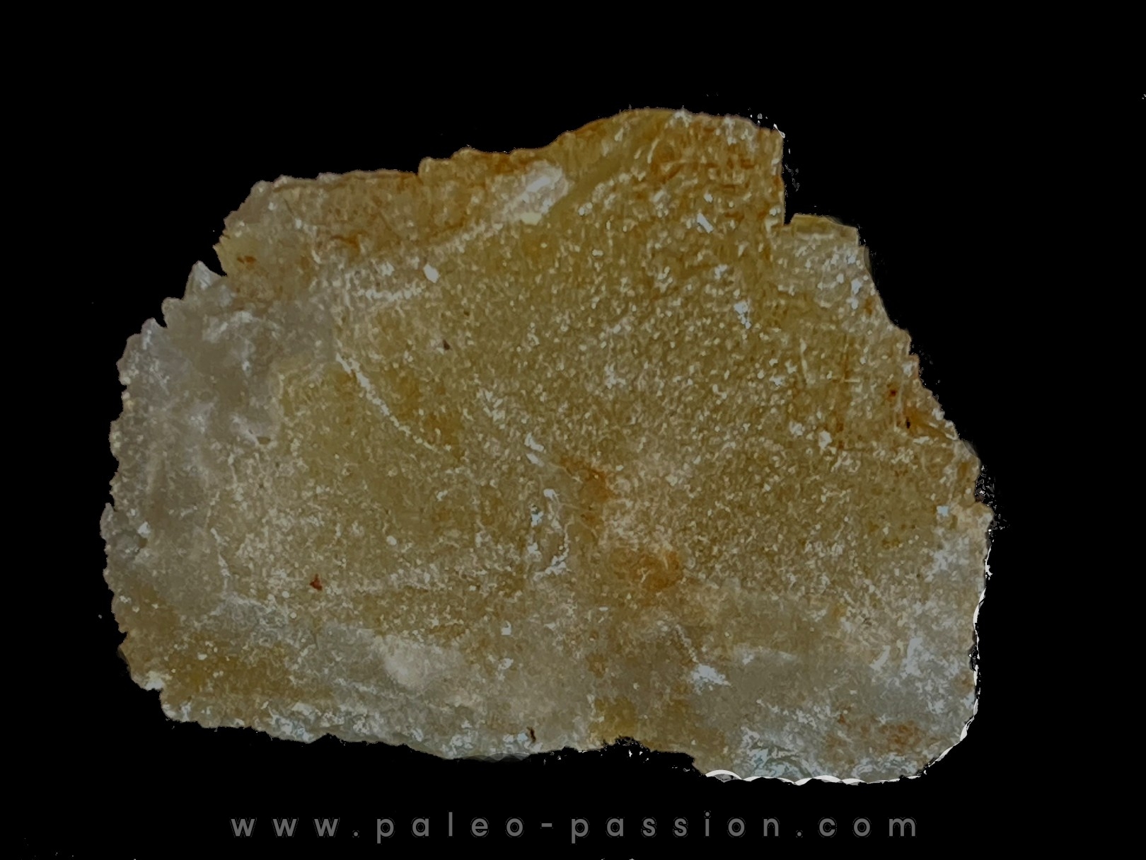 STOLZITE - sainte Lucie mine, Lozere - FRANCE