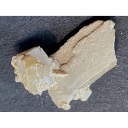 STOLZITE - sainte Lucie mine, Lozere - FRANCE