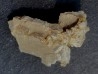 STOLZITE - sainte Lucie mine, Lozere - FRANCE