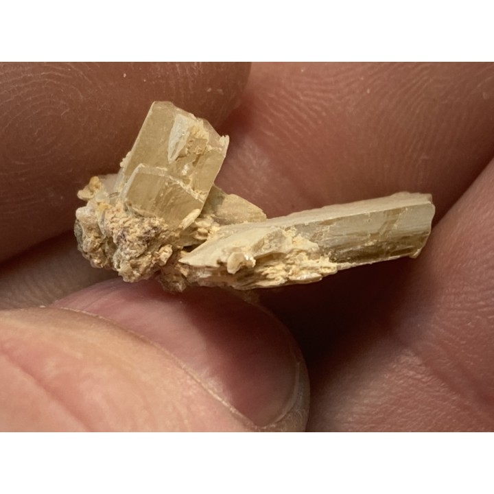 STOLZITE - sainte Lucie mine, Lozere - FRANCE