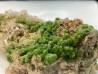 Pyromorphite and quartz - Les Farges, FRANCE