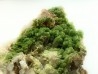 Pyromorphite et quartz - Les Farges, FRANCE