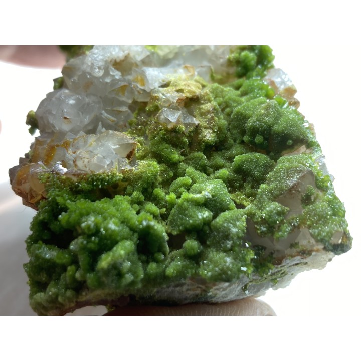 Pyromorphite and quartz - Les Farges, FRANCE