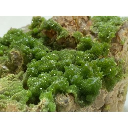 Pyromorphite and quartz - Les Farges, FRANCE