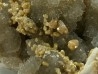 Pyromorphite, quartz et baryte - Les Farges, FRANCE