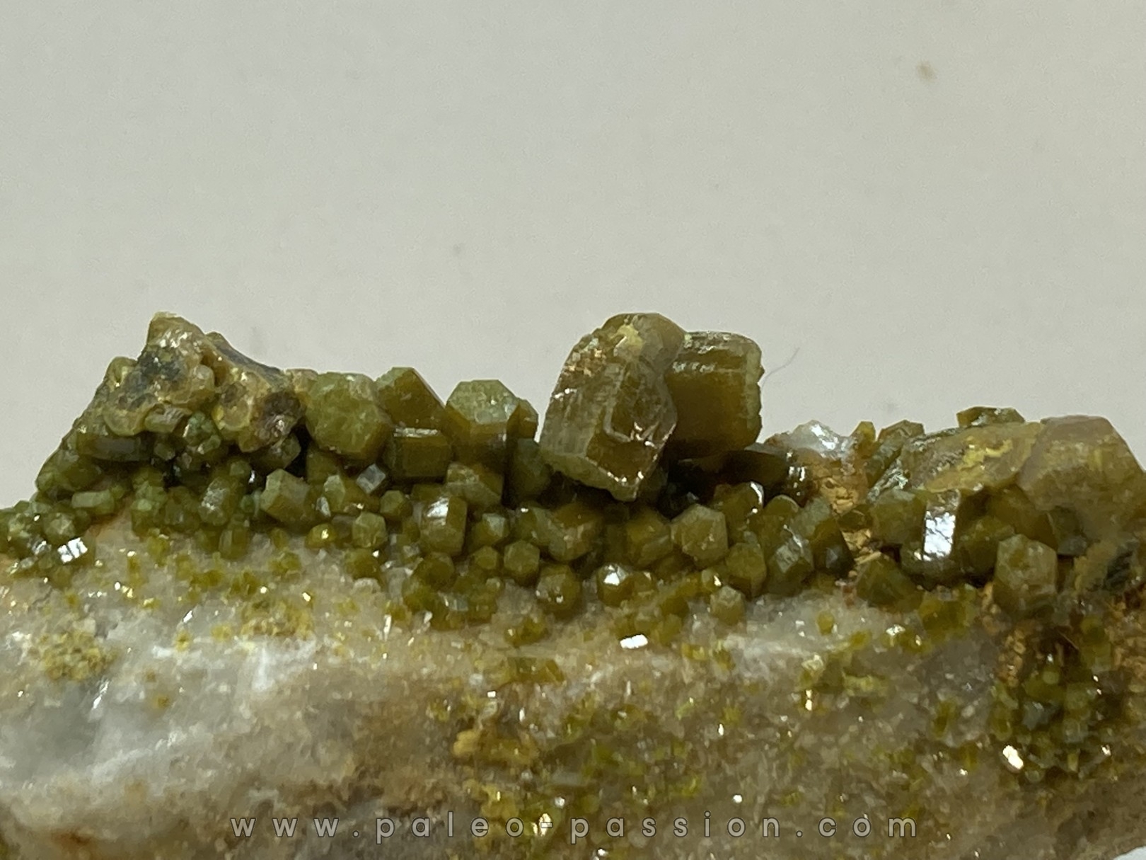 Pyromorphite - Les Farges, FRANCE