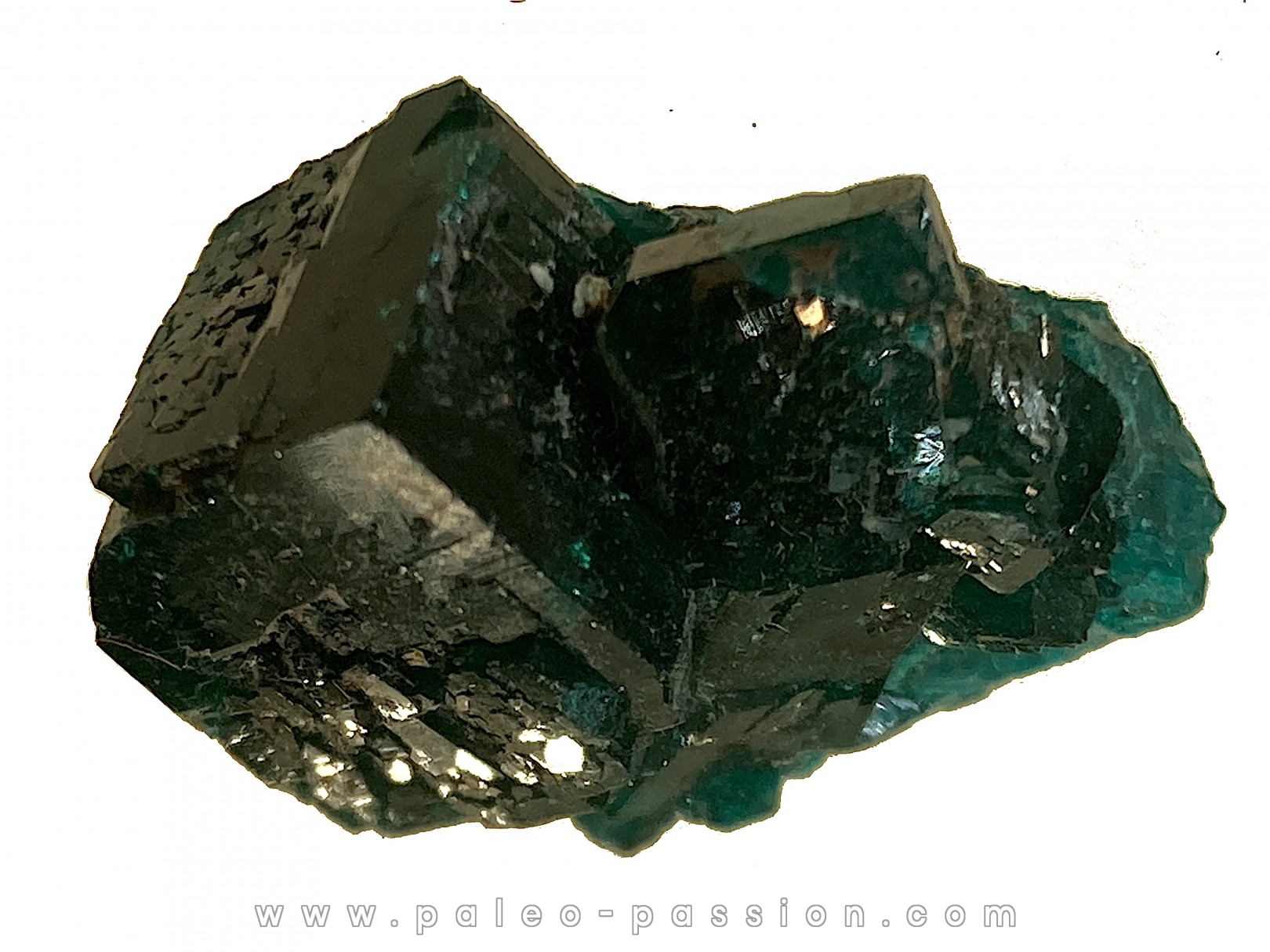 TOP! DIOPTASE - Mindouli, RD Congo