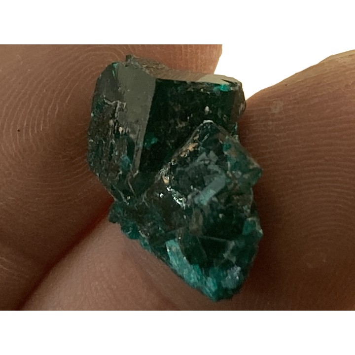 TOP! DIOPTASE - Mindouli, RD Congo