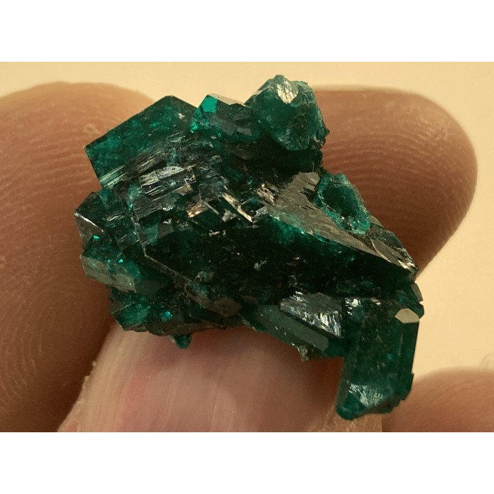 TOP! DIOPTASE - Mindouli, RD Congo