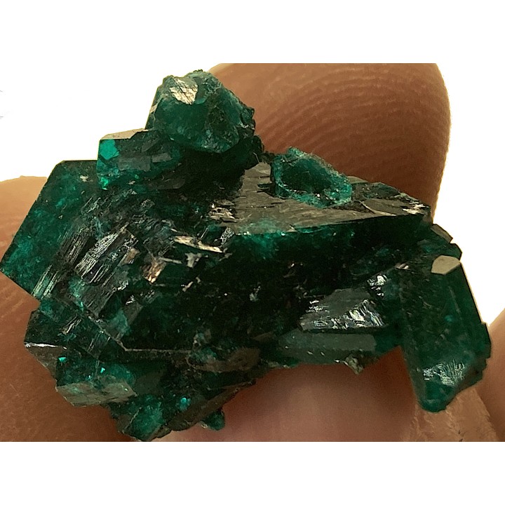 TOP! DIOPTASE - Mindouli, RD Congo