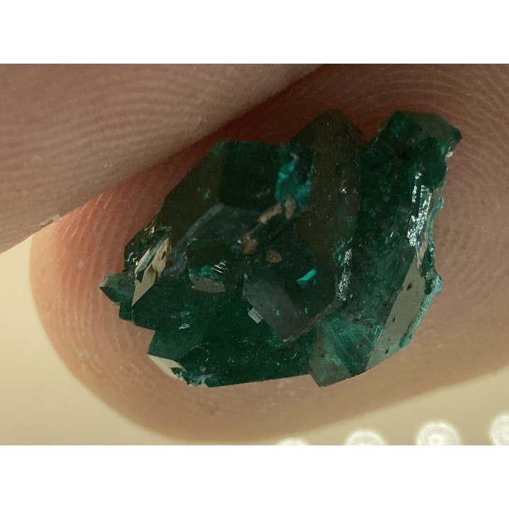 TOP! DIOPTASE - Mindouli, RD Congo