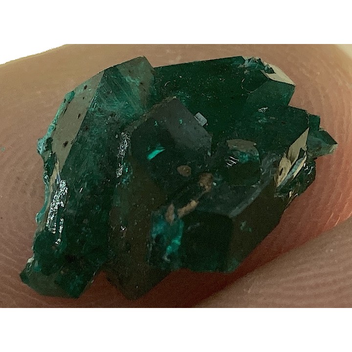 TOP! DIOPTASE - Mindouli, RD Congo