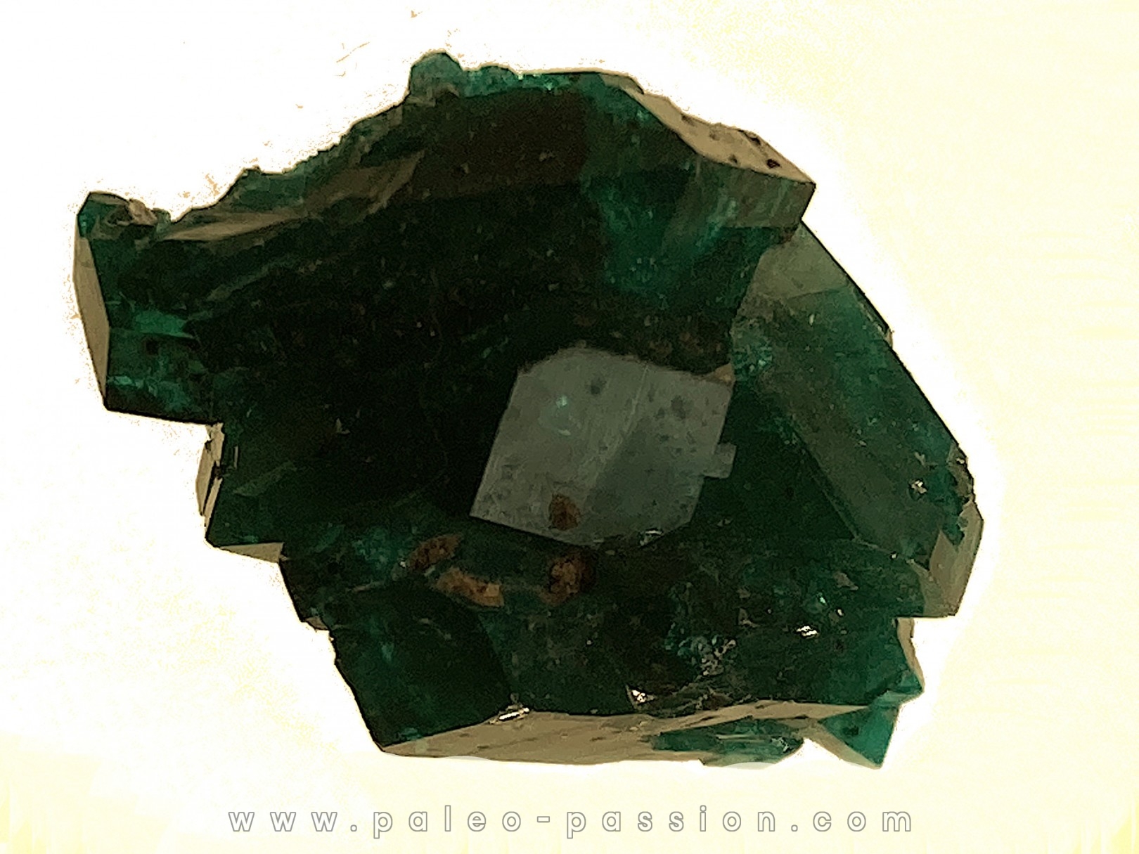 TOP! DIOPTASE - Mindouli, RD Congo