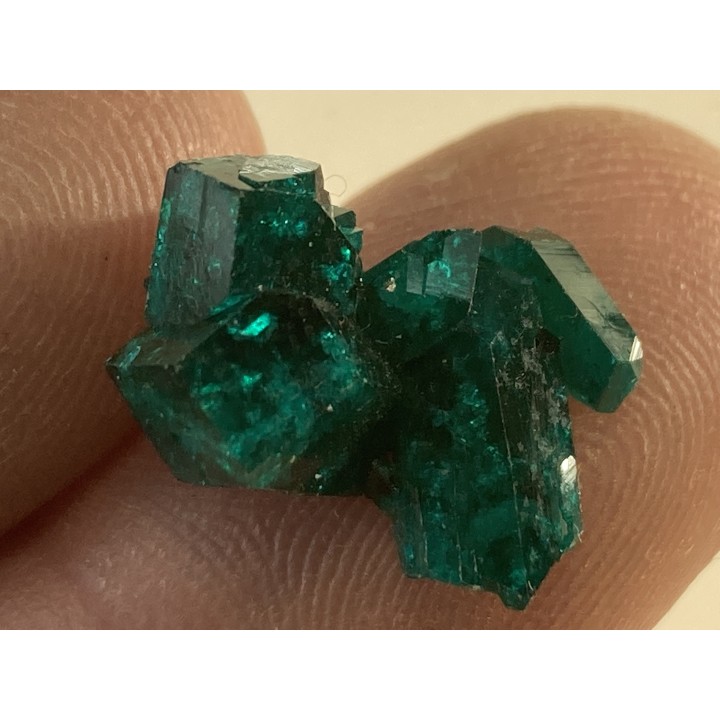 TOP! DIOPTASE - Mindouli, RD Congo