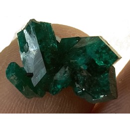 TOP! DIOPTASE - Mindouli, RD Congo