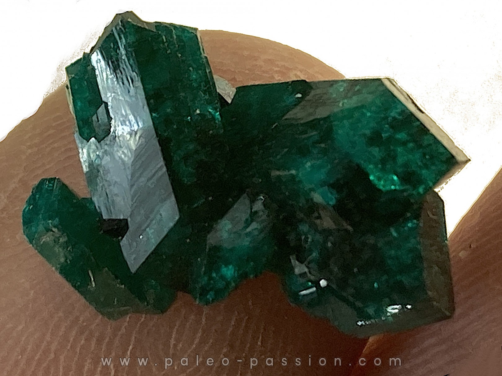 TOP! DIOPTASE - Mindouli, RD Congo